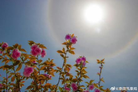 快抬头！甘肃陇南上空现绝美日晕