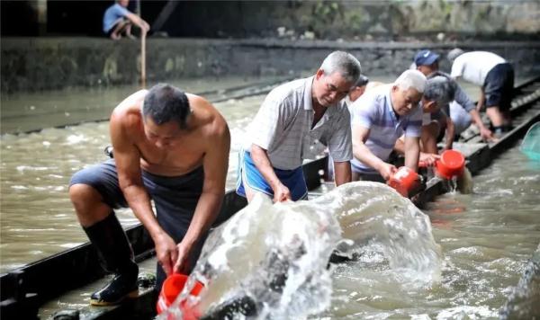 即将回归!广州各大龙舟队申请出战 即将回归!广州各大龙舟队申请出战