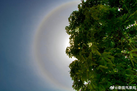 快抬头！甘肃陇南上空现绝美日晕