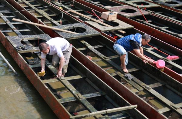即将回归!广州各大龙舟队申请出战 即将回归!广州各大龙舟队申请出战