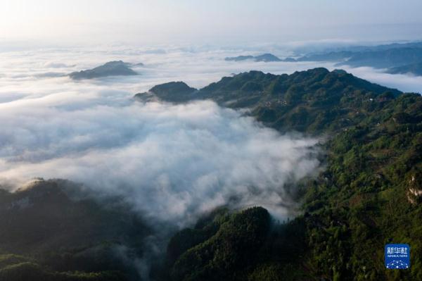 重庆金佛山：云绕山峦春色美