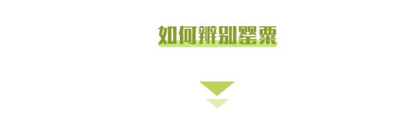 种一株也违法！看到请立即报警！