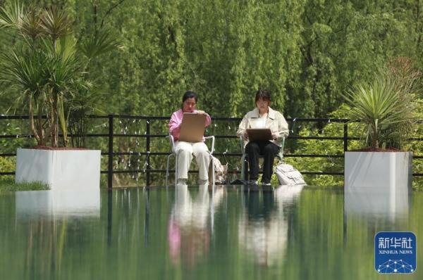 户外写生 描绘自然