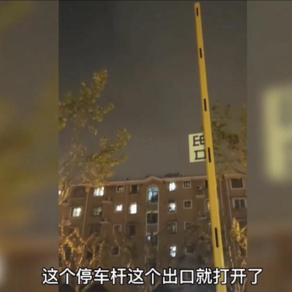 外来车主“照骗”开闸“逃单”停车费，利用系统漏洞免费停车违法吗？