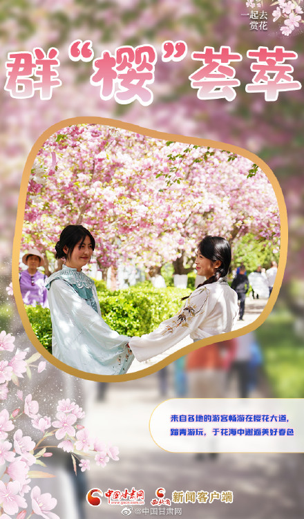 春色烂漫，“云赏”樱花盛开