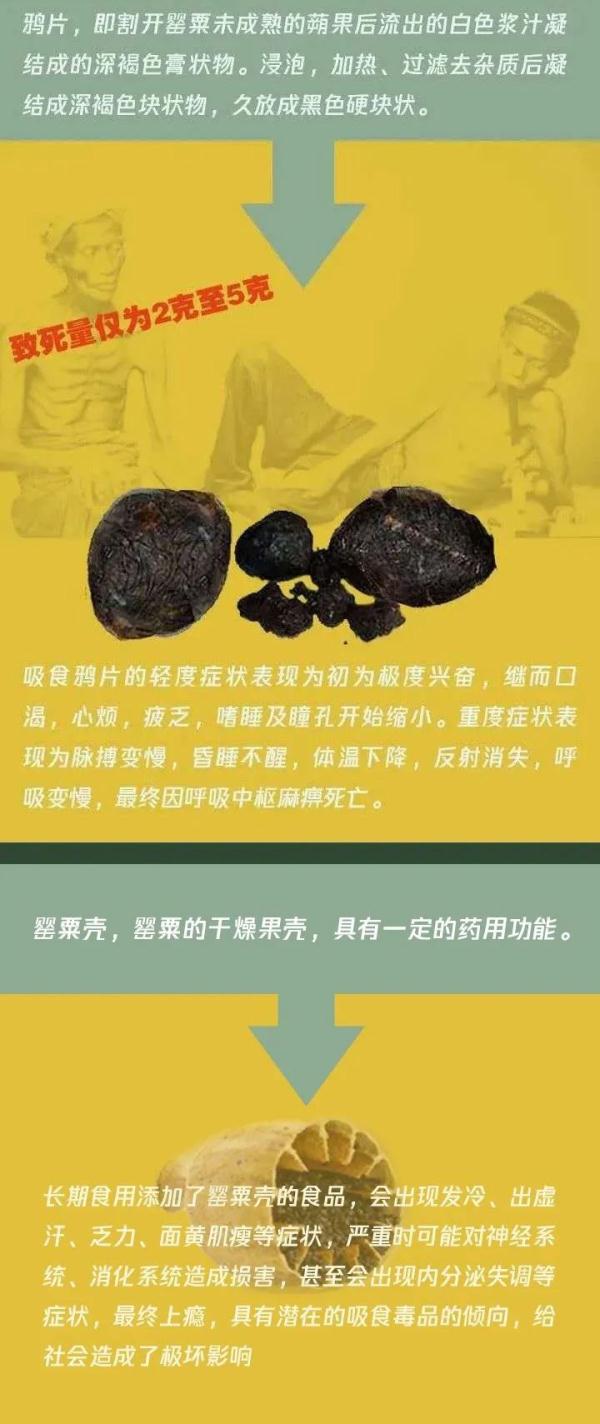 种一株也违法！看到请立即报警！