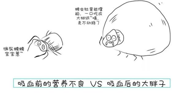 “夺命蜱虫”再出没！现在高发！江西省卫健委发布提醒