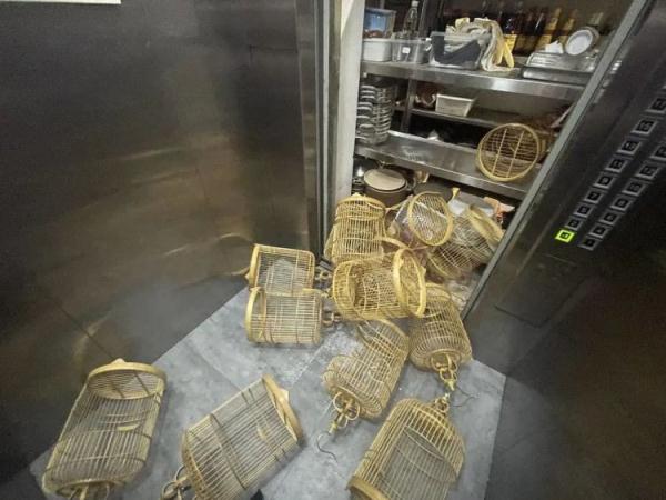 “电影都不带这样拍的!”女子电梯遭遇惊魂一幕 “电影都不带这样拍的!”女子电梯遭遇惊魂一幕