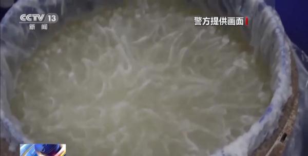 包装相同质量却不同，劣质洗衣液从何而来？