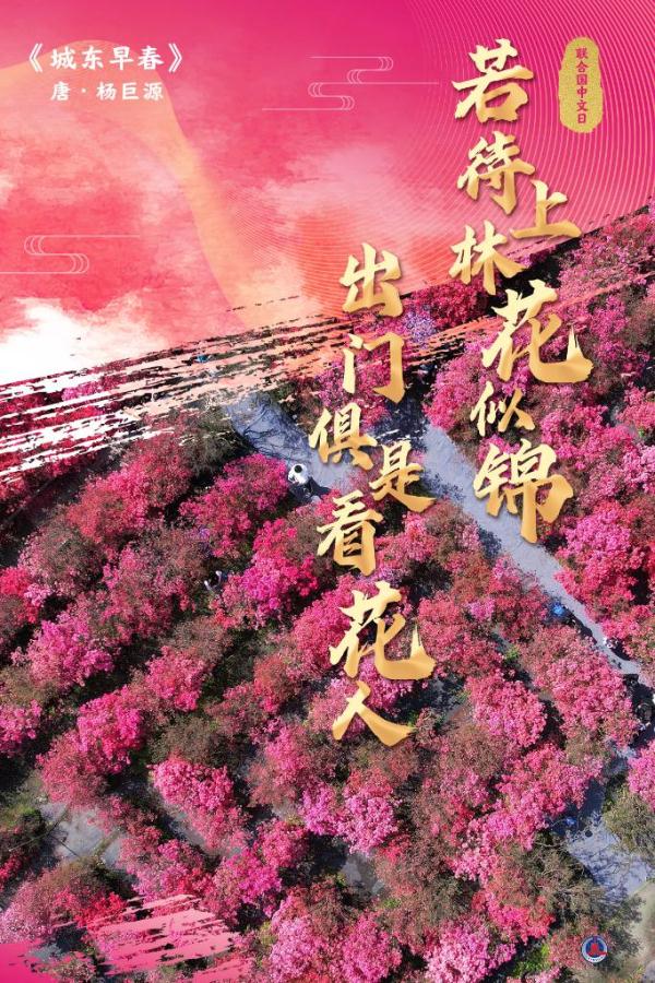 联合国中文日丨从古诗词看中文有多美