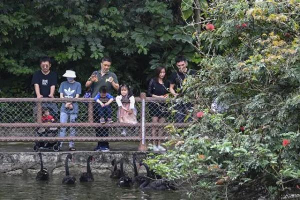 又有两地宣布!广东人入夏:冒汗,但下冰雹 又有两地宣布!广东人入夏:冒汗,但下冰雹