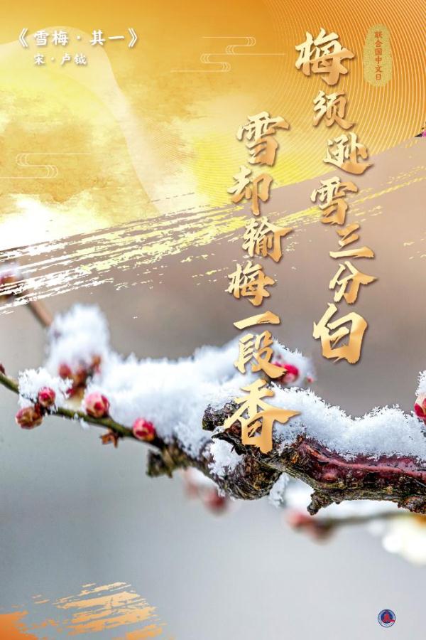 联合国中文日丨从古诗词看中文有多美