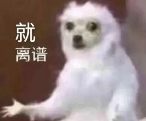 一男子在上海迪士尼抽烟被阻，竟怒骂工作人员，倒地耍赖！迪士尼回应：禁止再入园