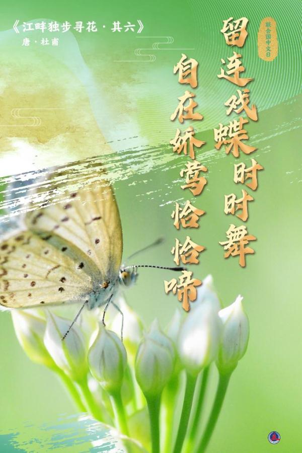 联合国中文日丨从古诗词看中文有多美