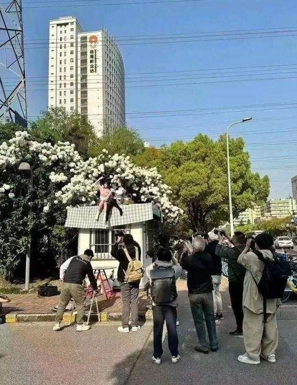 拿生命“打卡”拍“网红照”？安全不能让位于“博出圈”