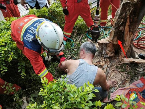 6旬老人想“抓蜜蜂”，却没想到……