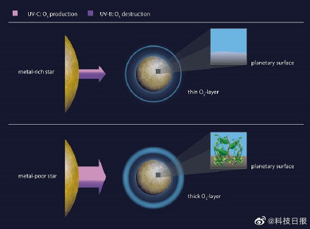 贫金属星或是搜寻潜在生命最佳地