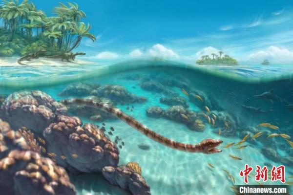 中欧合作研究发现2.4亿年前海生长颈动物新属种“隐秘细颈龙”