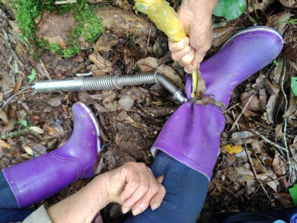 惊险！私设捕兽夹，村民上山采茶不幸中招