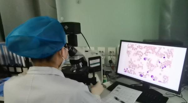 广东发现1例罕见黑热病！原来是这种虫子在作怪