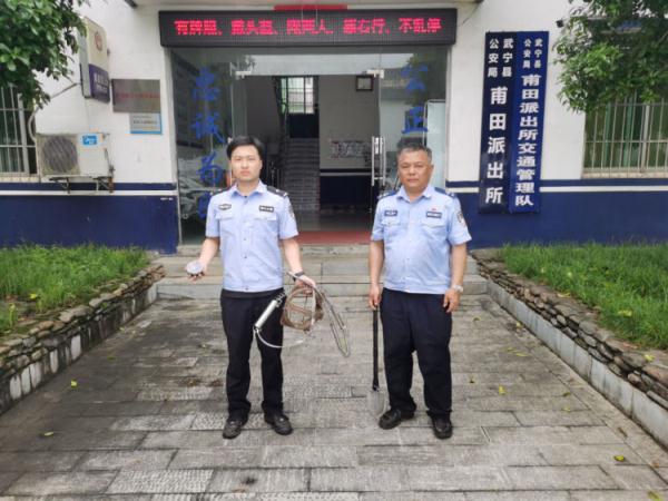 惊险！私设捕兽夹，村民上山采茶不幸中招