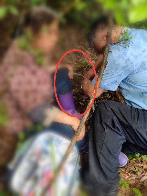 惊险！私设捕兽夹，村民上山采茶不幸中招