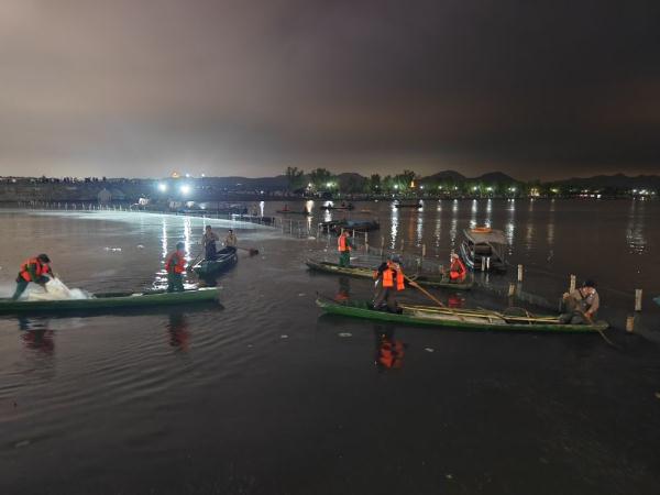 西湖月夜“清塘”，只为荷花亭亭盛放