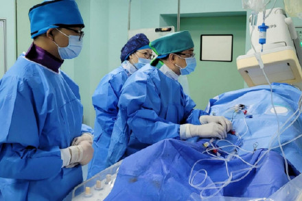 罕见!深圳发现一例黑热病 罕见!深圳发现一例黑热病