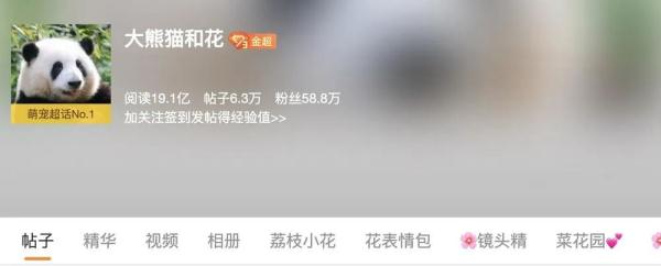 火爆全网的“顶流”大熊猫与气候有何“羁绊”? 火爆全网的“顶流”大熊猫与气候有何“羁绊”?