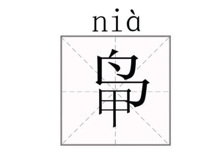 全村人改姓“鸭”！为啥？