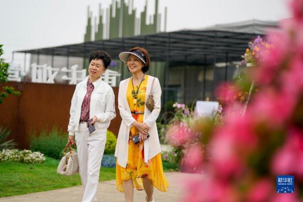 重庆大足:花卉产业为乡村振兴添香增色 重庆大足:花卉产业为乡村振兴添香增色