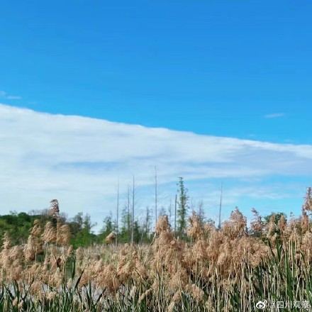 成都天空现“阴阳云”