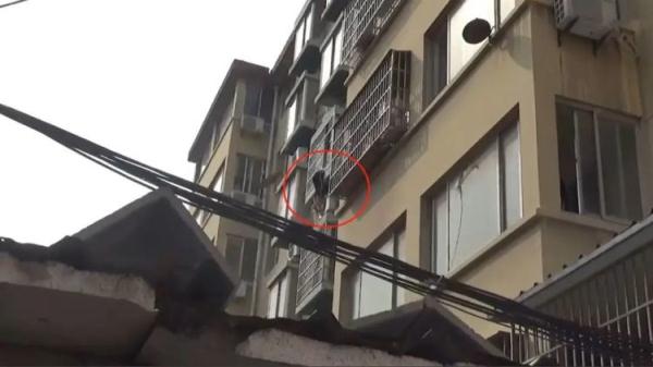 玩具熊“惹祸”？女孩一脚踩空身悬窗外！