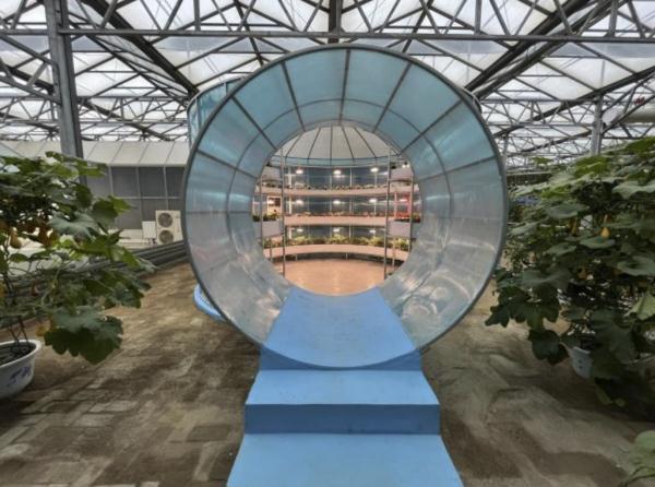 种菜这件事属实让寿光人玩明白了！