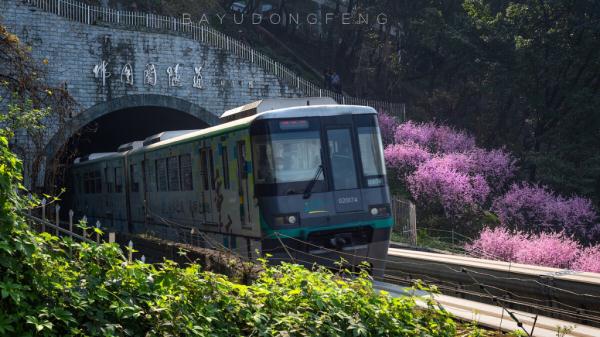 江北嘴江滩边的这些石头藏着重庆亿万年的秘密