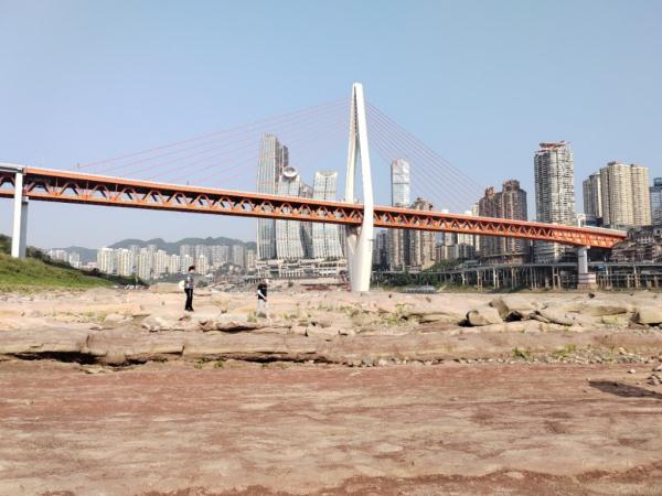 江北嘴江滩边的这些石头藏着重庆亿万年的秘密