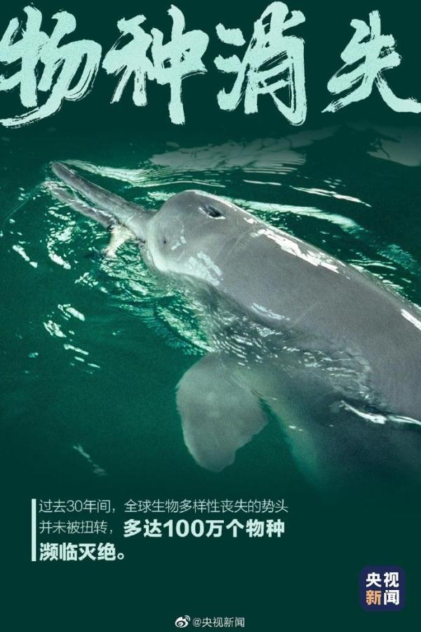 世界地球日丨了解这些数字 保护地球家园从现在做起