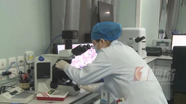 广东发现1例罕见黑热病，与这种虫子有关！疾控部门提醒