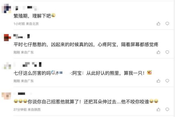 熊猫阿宝耳朵被咬上热搜！园方回应