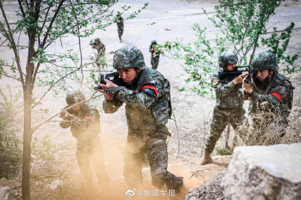 组图!直击特战小队战术训练 组图!直击特战小队战术训练