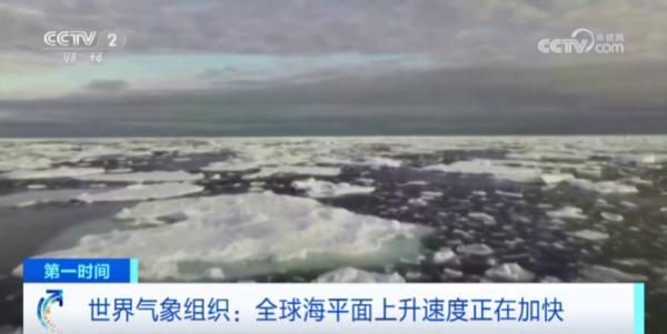 全球海平面上升速度加快！世界气象组织最新发声