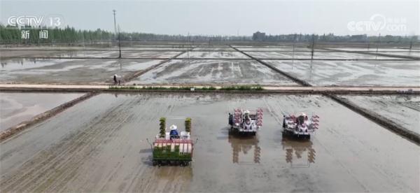 “作物成长日记”帮助种植户精准作业 多熟制轮作模式助力增产增收 “作物成长日记”帮助种植户精准作业 多熟制轮作模式助力增产增收