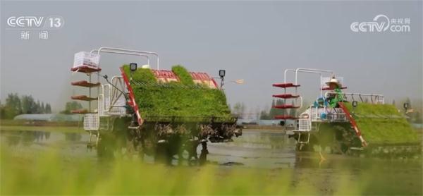 “作物成长日记”帮助种植户精准作业 多熟制轮作模式助力增产增收 “作物成长日记”帮助种植户精准作业 多熟制轮作模式助力增产增收