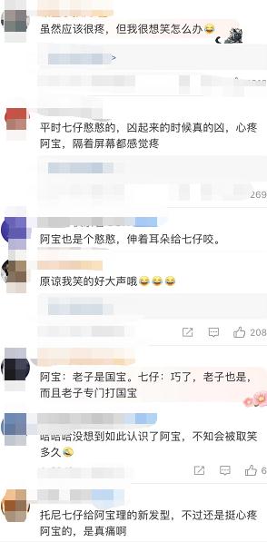 “哎咬V”！熊猫阿宝耳朵被七仔咬成V形！园方：繁殖期有些不安分