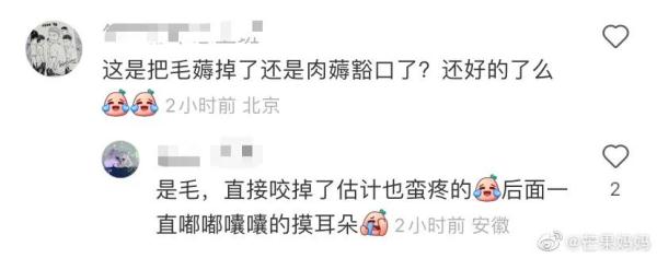 熊猫阿宝耳朵被咬上热搜！园方回应