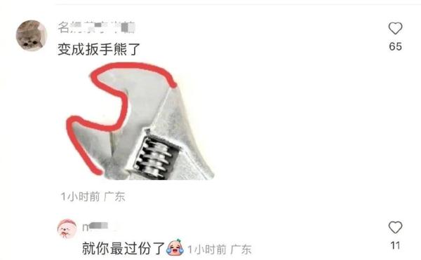熊猫阿宝耳朵被咬上热搜！园方回应