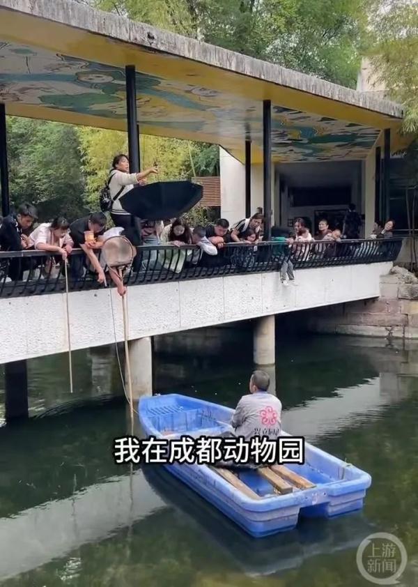 成都动物园工作人员被指要价500元捞手机？园方回应