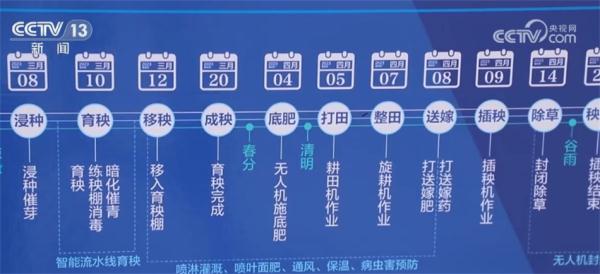 “作物成长日记”帮助种植户精准作业 多熟制轮作模式助力增产增收 “作物成长日记”帮助种植户精准作业 多熟制轮作模式助力增产增收