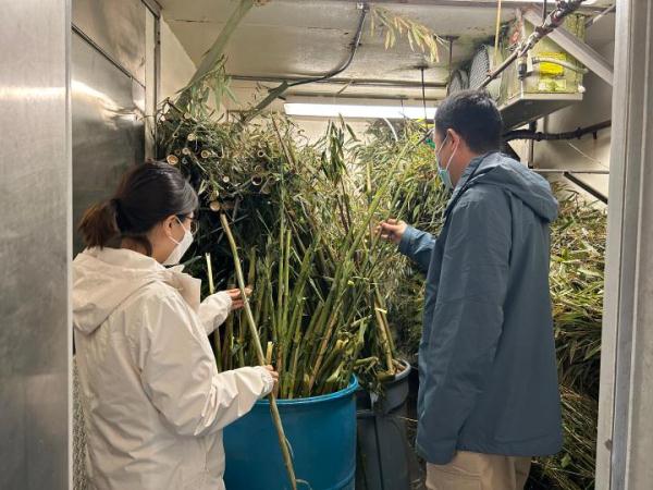 “丫丫”将回国，身体状况如何？最新消息→