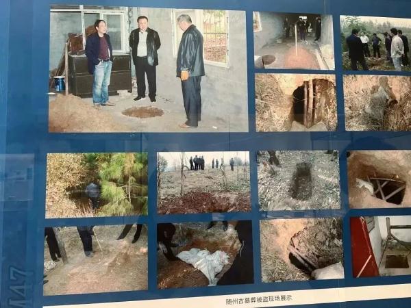 “捉迷藏式”的追宝行动，已抓获25人……